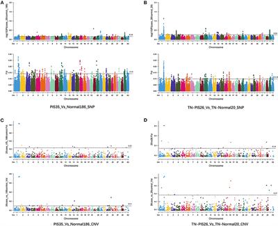 Identification of a Goat Intersexuality-Associated Novel Variant Through Genome-Wide Resequencing and Hi-C